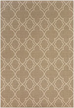 Toledo Area Rug - Clearance