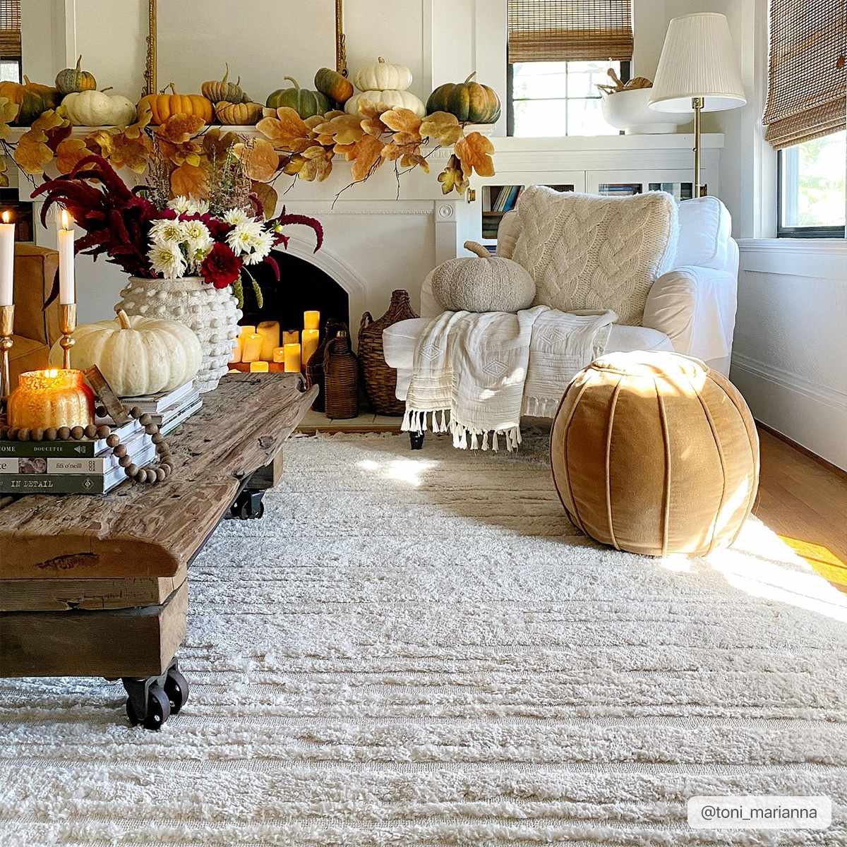 Ibarra Textured Ivory High/Low Pile Rug with Tassels