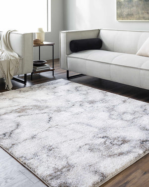 Titan Light Gray Area Rug