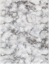 Titan Light Gray Area Rug