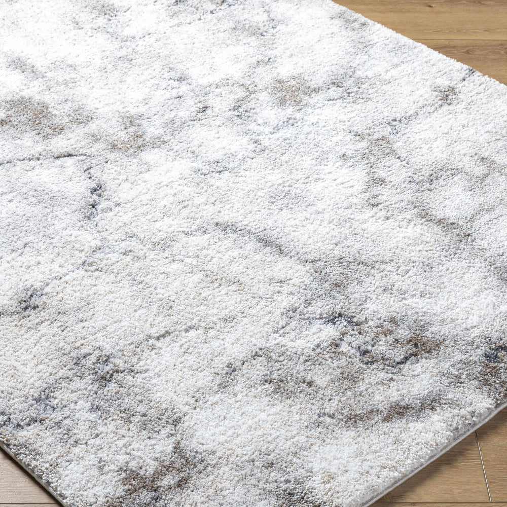 Titan Light Gray Area Rug
