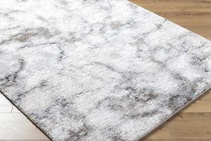 Titan Light Gray Area Rug