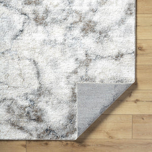 Titan Light Gray Area Rug