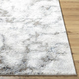 Titan Light Gray Area Rug