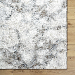 Titan Light Gray Area Rug