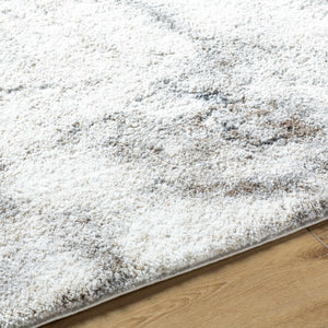 Titan Light Gray Area Rug