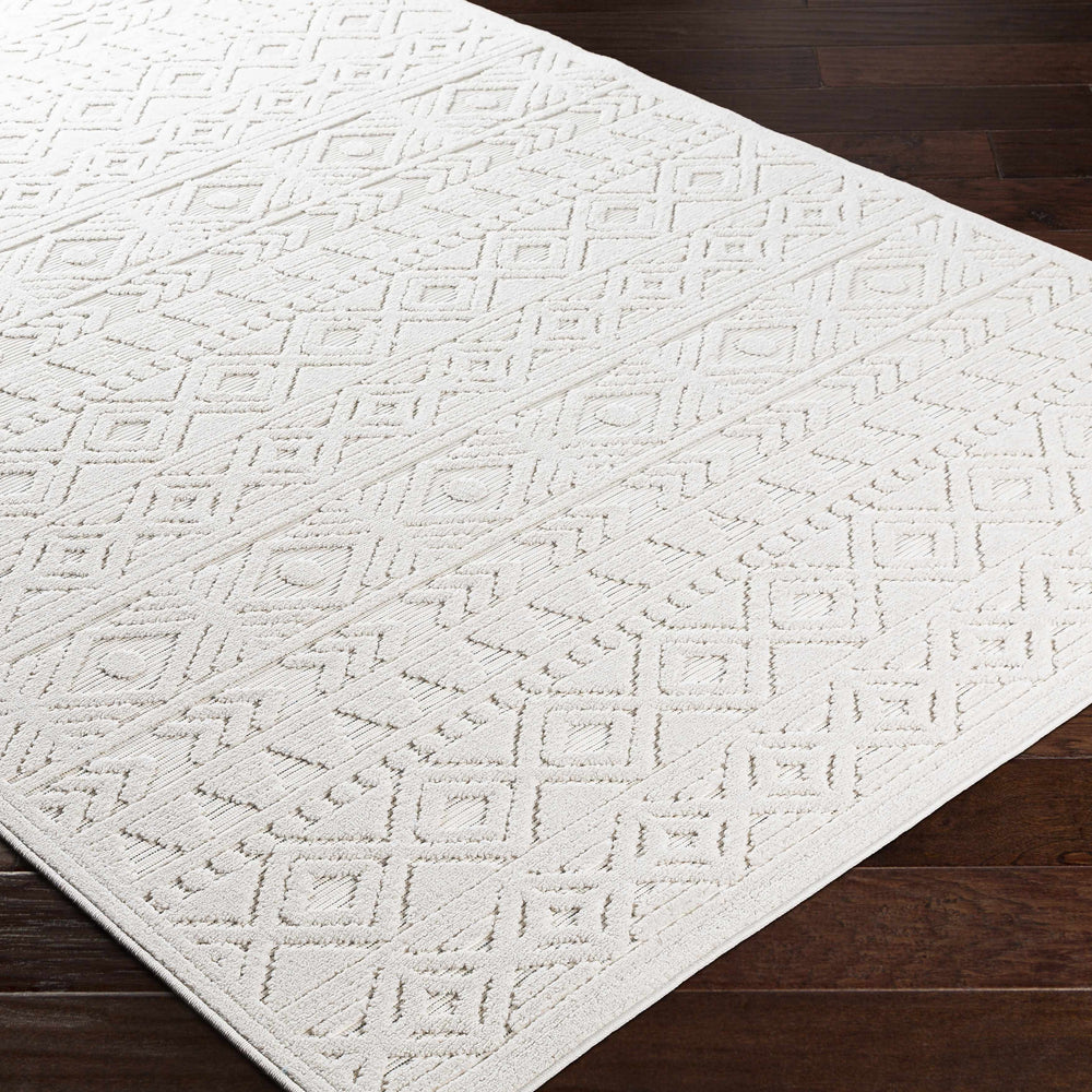 Treuddyn 3D Outdoor Area Rug