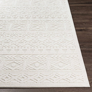 Treuddyn 3D Outdoor Area Rug