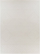 Trigg 3D Outdoor Area Rug