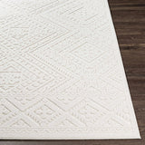 Trigg 3D Outdoor Area Rug