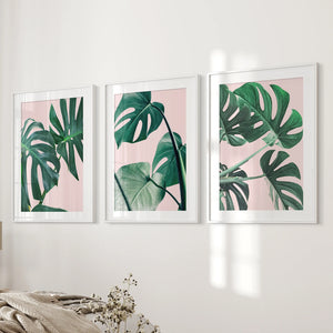 Pink Botanical 3 Piece Wall Art. Green Monstera Leaves Print