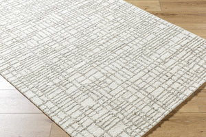 Tibby Area Rug