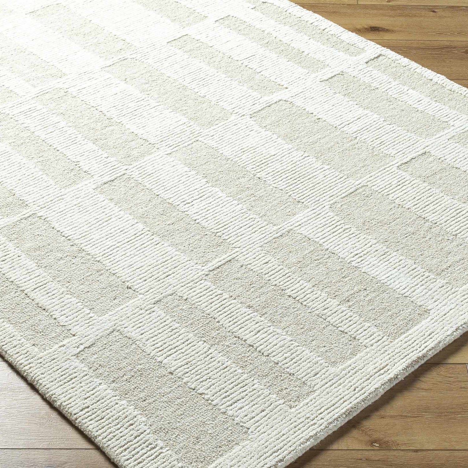Teige Light Silver Area Rug