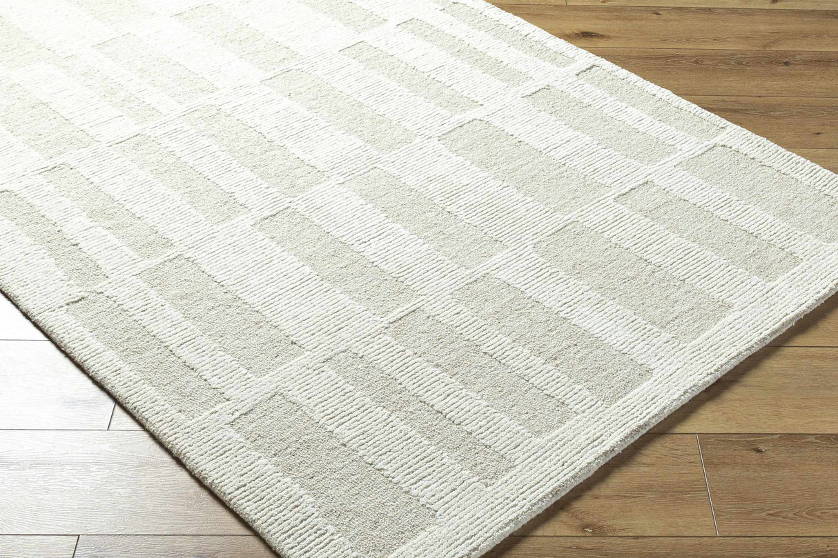 Teige Light Silver Area Rug
