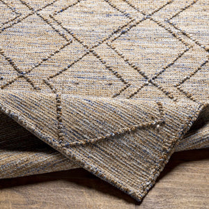 Buse Hand Woven Beige & Blue Area Rug - Clearance
