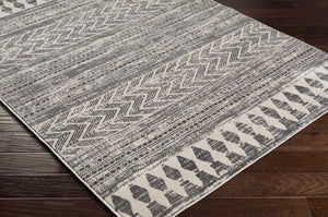 Tuy Area Rug