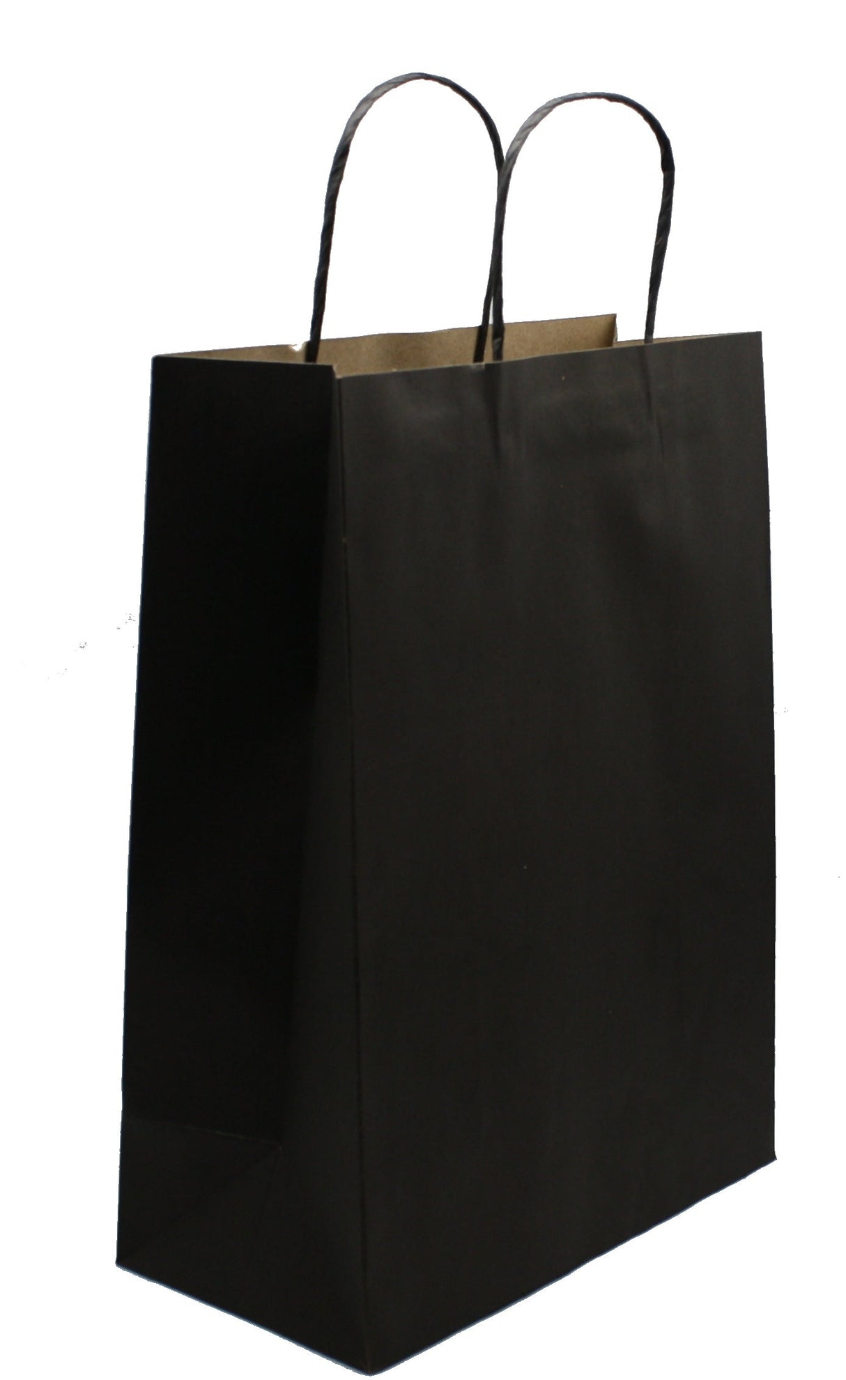 Large Kraft Gift Bag - Black