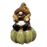 Harvest Gnome on a Gourd -