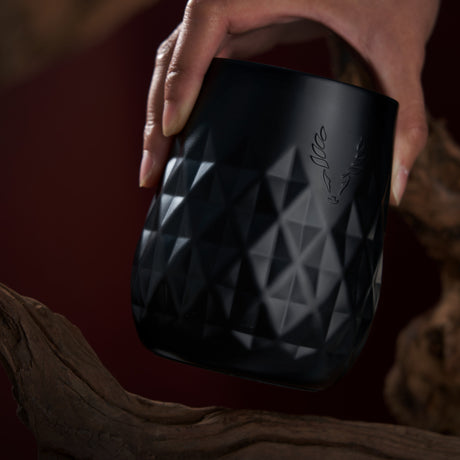 Paragon stainless steel wine tumbler in obsidian viski®