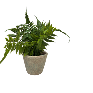 Faux Maidenhair Fern in a Cement Pot
