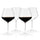 Reserve-inez-crystal-burgundy-glasses-viski®-Wine-Glasses