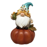 Fall Gnome Pumpkin -