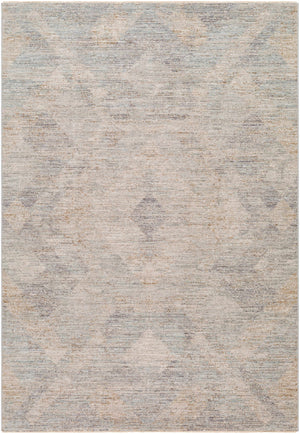 Urmi Area Rug - Clearance