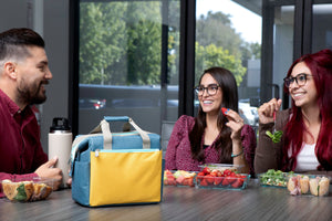 On The Go Lunch Bag Cooler
