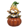 Fall Gnome Pumpkin -