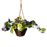 Trailing Pansy Flowers in 8" Hanging Bamboo Basket -