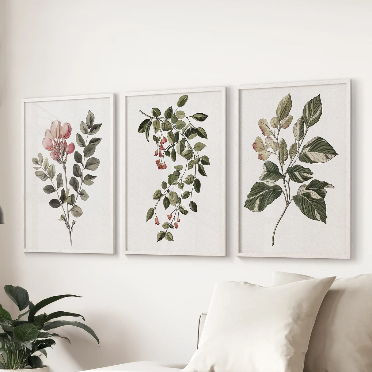 Floral Set of 3 Piece Wall Art. Magnolia, Honeysuckle Prints