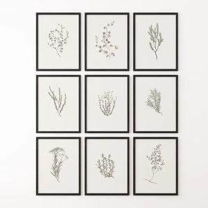 Botanical Wall Art Set of 9. Vintage Herbal Plant Prints