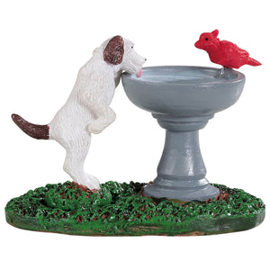 Dog at the Water Fountain