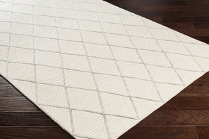 Vermilion Area Rug - Clearance
