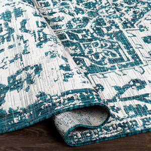 Teal Kilmacolm Indoor & Outdoor Area Rug - Clearance