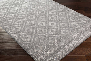 Webb Area Rug - Clearance