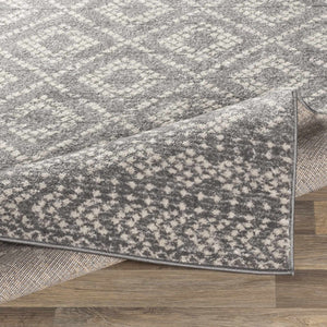 Webb Area Rug - Clearance