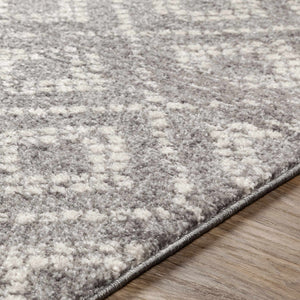 Webb Area Rug - Clearance