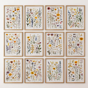 Pressed Flower Art Print Set of 12. Botanical Lithograph
