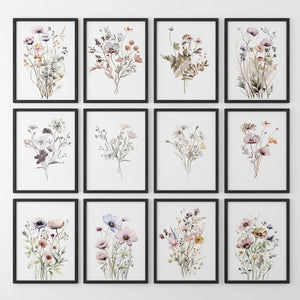 Neutral Wildflower Wall Art Set of 12. Botanical Prints