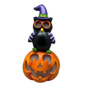 Owl On Pumpkin  With Moving Digital Eyes