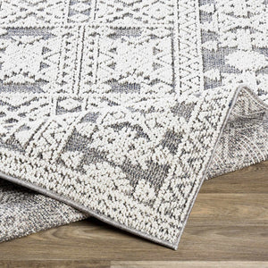 Ware Outdoor Rug - Clearance