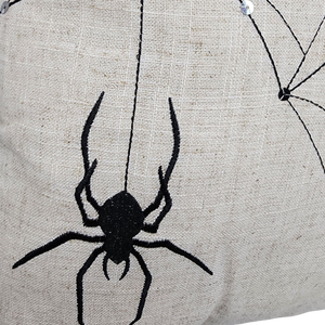 Spooky Spider Web Pillow