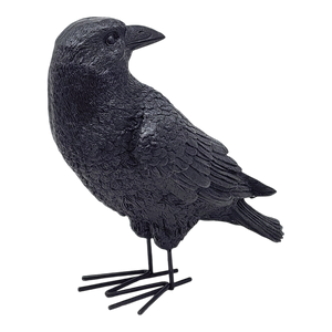 Fright Night Crow - Looking Behind