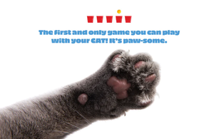 Knock It Off - A Game You Play With Your Cat
