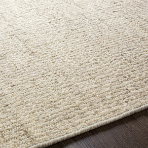 Yaniklar Beige Flat Woven Wool Rug