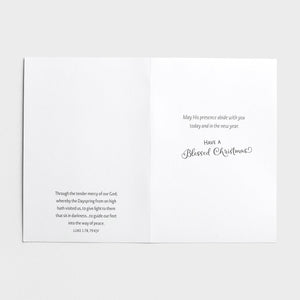 Snowman Gazer and Friends - 18 Christmas Boxed Cards