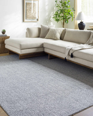 Zareh Blue Solid Area Rug - Clearance