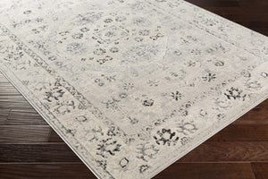 Zephyr Area Rug - Clearance