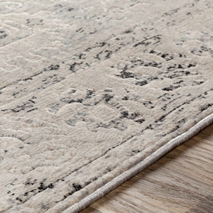 Zephyr Area Rug - Clearance